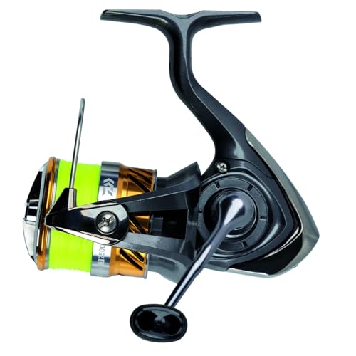 Daiwa 20 Laguna Lt 2000 Jb4 0.13Yl - Spinnrolle + geflochtene Schnur, Angelrolle zum Spinnfischen, Raubfischrolle