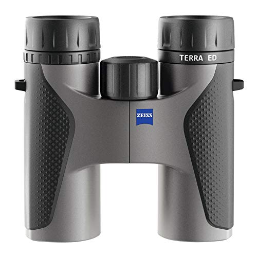 ZEISS Terra ED Fernglas, 8x32, grau