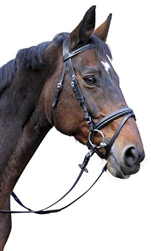 Kerbl Trensenzaum Classic Leder Warmblut, Braun, 324913