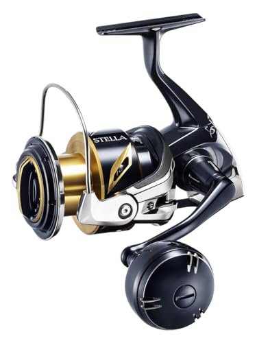 Reel Stella SW C 6000 PG