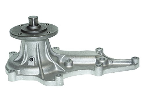 Saleri SIL PA1000 Wasserpumpe