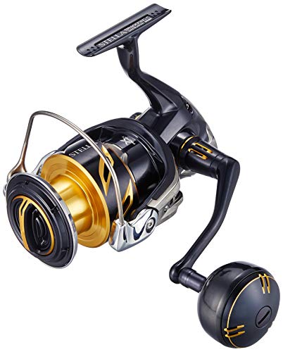 SHIMANO 20 Stella SW 6000HG