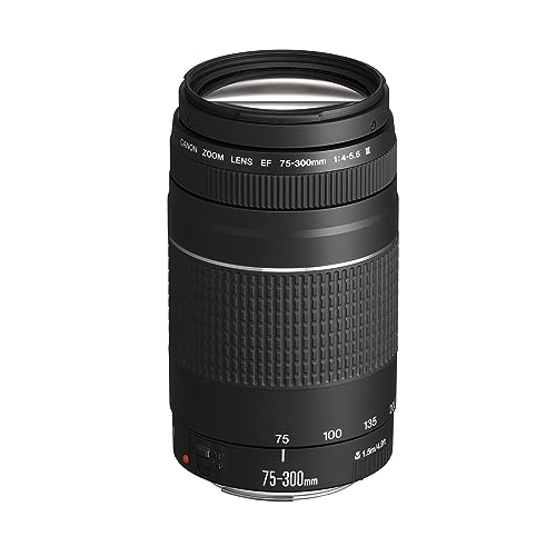 Canon EF 75-300mm F4.0-5.6 III Zoomobjektiv (58mm Filtergewinde) schwarz