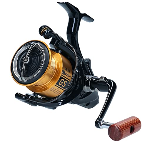 Daiwa 20 GS BR LT 5000-C - Freilaufrolle, Rolle zum Karpfenangeln, Angelrolle mit Freilauffunktion