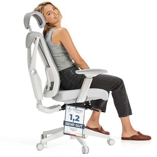 Desktronic Verstellbarer ergonomischer Bürostuhl | Schreibtischstuhl mit Lendenwirbelstütze - rückenfreundlich- Computerstuhl höhenverstellbar & rückenschonend - breites Polster SitPro (Grau)