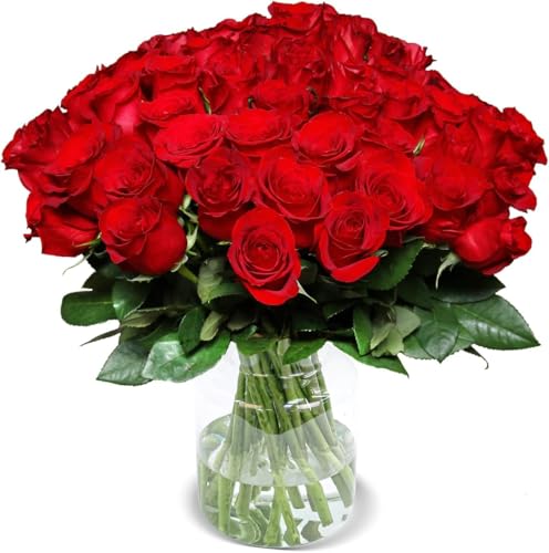 Blume Ideal Rosenstrauß - 40 Rosen - Rot - Ø 40–50 cm - Echte premium Blumen für Hochzeit & Deko - 7 Tage Frischegarantie - in verschiedenen Farben und Mengen