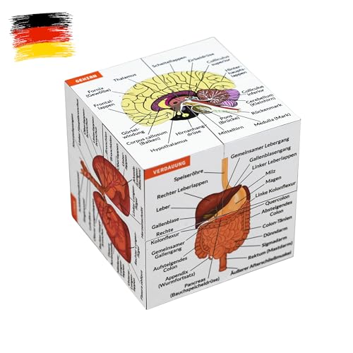 Menschliche Anatomie Studienwürfel AUF DEUTSCH | 9 Teile des menschlichen Körpers lernen | Anatomie Modellwürfel | Tolle Geschenkidee für Krankenschwestern und Medizinstudenten