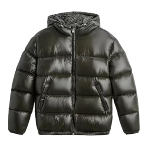 TERAZUNO Männer Gesteppte Padded Puffer Thick-Jacken-Mantel Metallisch Glänzende Jacke Männer Ultraleichte Stehkragen Jacke Winter Männer Mantel Herren Jacke Hooded Puffer Jacket Daunenjacke(Green,S)