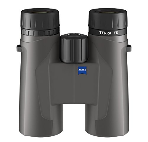 Zeiss Terra ED 8x42 grau