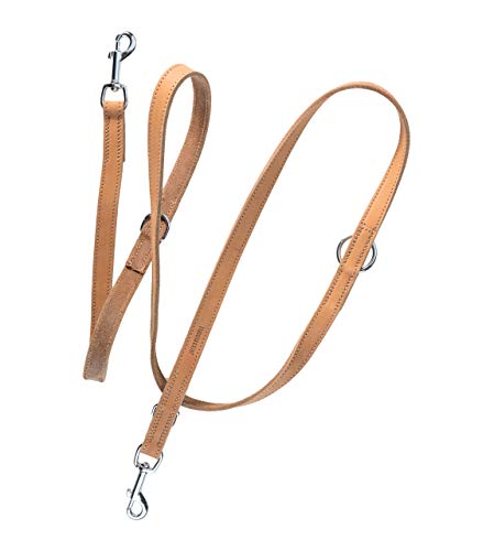 Jack & Russell Premium Fettleder Hundeleine Travis 2,0m - Hunde Lederleine extrem Stabil mit Edelstahl-Karabiner - Echtleder Leine mehrfach verstellbar – Travis (Hellbraun)