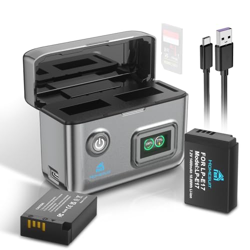 Homesuit LP-E17 Akku 1400mAh & Dual USB LCD Ladegerät Kit für Canon EOS R10, RP, Rebel SL3, SL2, T8i, T7i, T6i, T6s, EOS M3, M5, M6, EOS 200D, 77D, 750D, 760D, 800D, 8000D Kamera (2er-Pack)