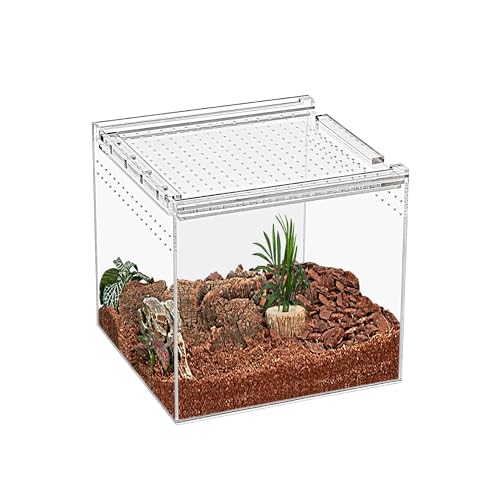 KAKOOTI Reptile Terrarium,17 x 17 x 15 cm Reptile Zuchtbox, magnetisches Acrylgehäuse, für Tarantula, Einsiedlerkrabbe, springende Spinne, Iguane, Leopard Gecko, Bartdrache, Insekt, Mantis, Skorpione