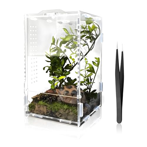 Faunarium, Acryl Terrarium Spinne Insektenterrarium Aufzuchtbox Allzweckbehälter mit Futterpinzette für Reptilien Sprungspinnen Amphibien Frösche Insekten Vogelspinnen 20 x 12 x 11 cm