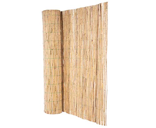 bambus-discount.com Schilfmatte bambussi 180 x 500cm mit grünem Draht verwebt - Hohe Sichtschutz Schilfrohrmatte 1,8m x 5m Made in EU