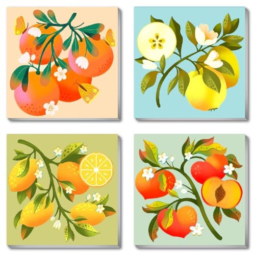 Clendo 4 Stück Früchte Malen Nach Zahlen für Erwachsene-Farbe Nach Zahlen für Erwachsene mit Rahmen, Farbe nach Zahlen Kits Anfänger, DIY Acryl-Ölgemälde für Wall Decor 20x20cm