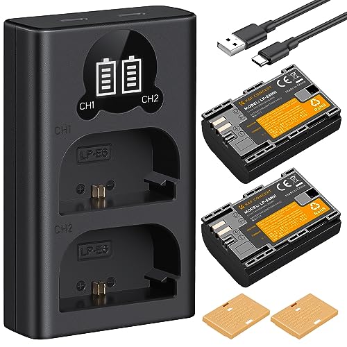 K&F CONCEPT LP-E6NH Kameraakkus, 2250mAh Akku Ladegerät Set Kompatibel mit Canon EOS 90D/80D/70D/5D Mark II III IV/5DS SR/6D/6D Mark II (2er Pack)