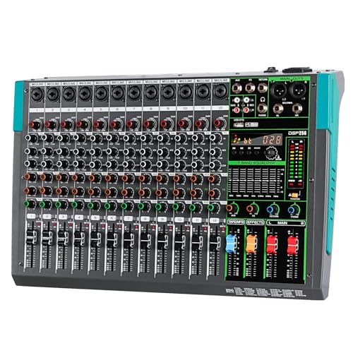 Depusheng PA12 Professioneller 12 Kanal Mixer DJ Controller mit 256 DSP Effekten Bluetooth Eingang USB Player 48V Phantomspeisung