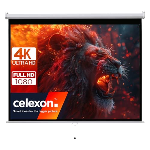 celexon Basic Rollo-Leinwand 100