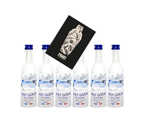 Grey Goose Vodka Minis - 6x 50ml (40% Vol)