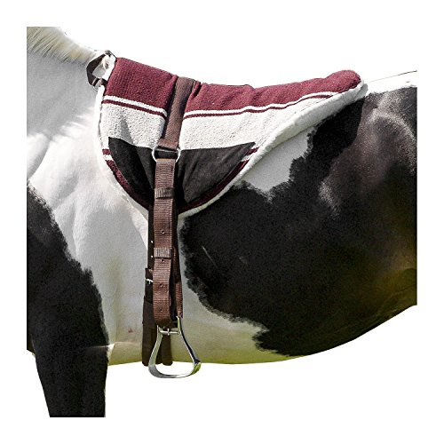 Reitkissen Norton braun/beige