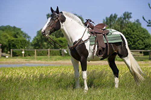 RANDOL'S Topeka Westernsattel, Unisex, 800077, Havana, 10-Inch