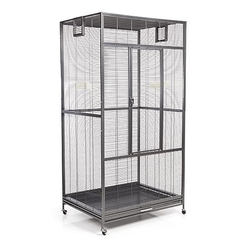 Montana Cages | Premium Voliere New Sydney I Vogelkäfig für Sittiche und kleine Papageien, inkl. 2 Näpfe, 4 Lenkrollen, AVILON Pulverbeschichtung, Antik Edition, ca. 90 x 70 x 180cm