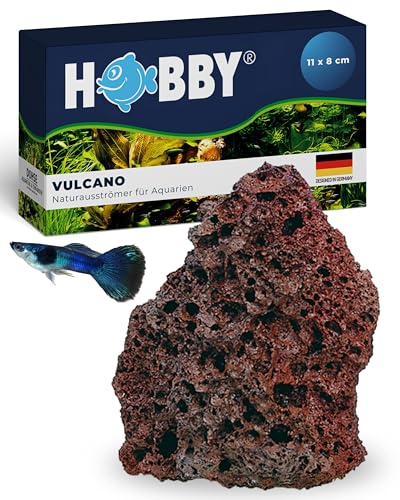 Hobby Vulcano Naturausströmer I 11 x 8 cm I Einzigartiger Lavastein als Aquarium Deko & Luftausströmer I Zubehör für Sauerstoffversorgung I Natürlicher Sprudelstein für Aquarien & Terrarien