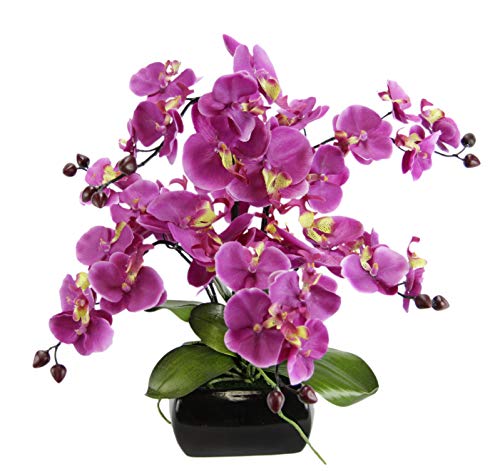 Kunstblume Schmetterling Orchidee mit Blätter und Luftwurzeln in Schale aus Keramik Künstliche Blume Kunstorchidee Phalaenopsis mit Übertopf Kunstpflanze Hochzeit Deko Seidenblume Real Touch Blüte