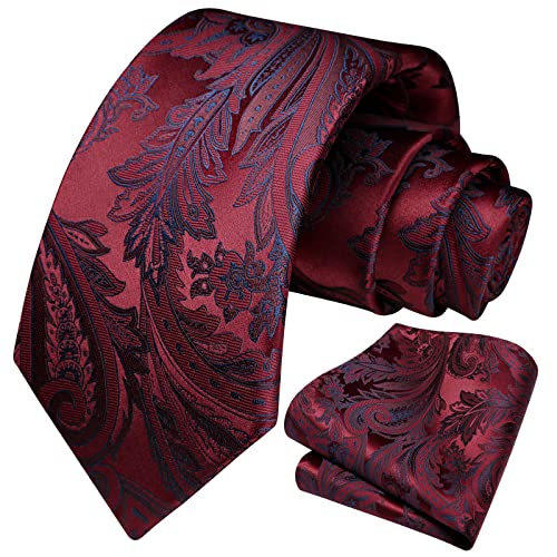 HISDERN Krawatte Herren Burgundy Paisley Krawatten für Männer Krawatte und Einstecktuch Set Krawatten Rot