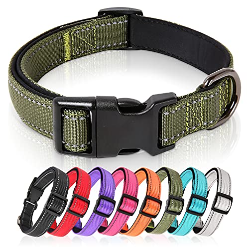 HEELE Hundehalsband, Hundehalsband aus Nylon, Reflektierend Halsband Hund mit Weich Neopren Gepolstert für Welpen Kleine Mittel Große Hunde Läng Einstellbereich 34-52 cm, Grün, M