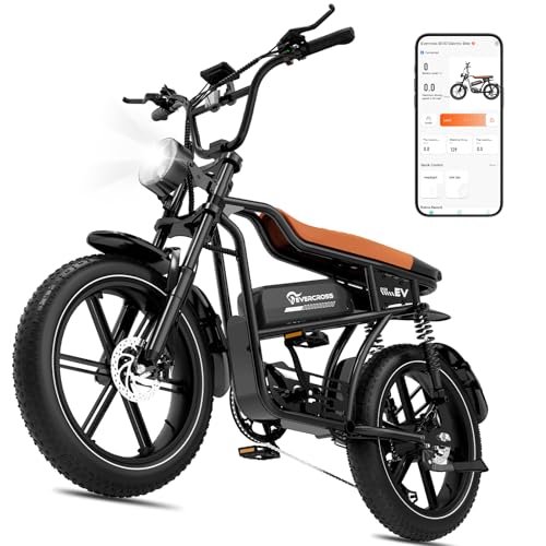 EVERCROSS EK30 Elektrofahrrad für Erwachsene, 20