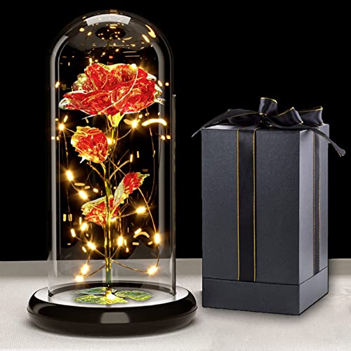 Touloube Geschenke Für Frauen Weihnachten Galaxy Rose Blume Geschenk, Infinity Rose in Glaskuppel LED-Lichterkette,Geschenke für Frauen Weihnachten,Einzigartiges Jahrestag und Geburtstag