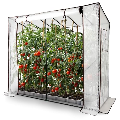 Arebos Tomatengewächshaus Foliengewächshaus mit 2 Belüftungsfenster | Gewächshaus groß | Tomatenhaus, Treibhaus mit Tür zum Aufrollen | 200x77x170 cm Frühbeet, Gemüse, Blumen, Obst | Gewächshausfolie
