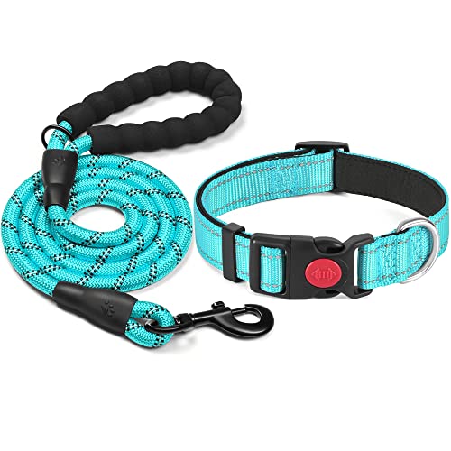 haapaw reflektierendes Hundehalsband gepolstert mit weichem Neopren atmungsaktiv einstellbar Nylon Hundehalsbänder für kleine mittlere große Hunde