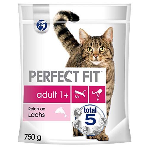 Perfect Fit Katzenfutter Trockenfutter Adult 1+ Reich an Lachs, 1 Beutel (1 x 750g)
