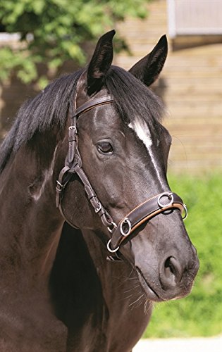 Barefoot Contour Physio Kopfstück 2‑in‑1 schwarz – anatomisch geformt – Y‑Backen und gepolstertes Genickstück – individuell anpassbar – gebisslos & mit Gebiss nutzbar – ohne Nasenriemen/Gebiss - Full