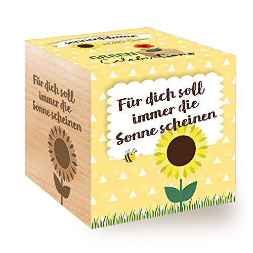 Celebrations Ecocube, Sonnenblume Bio Samen, Holzwürfel Mit Lasergravur «Für Dich Soll Immer Die Sonne Scheinen», Nachhaltige Geschenkidee, Anzuchtset, Made in Austria, Green