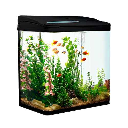 VIALIA Aquarium Komplettset mit LED-Beleuchtung, Pumpe und Filter, 30x20x32 cm, 18 Liter, Schwarz, Glasbecken für Fische und Wasserpflanzen