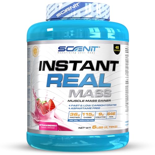 Instant Real Mass - 2,72 kg - Mass Gainer - Weight Gainer - Mass Gainer Protein - Gainer Kohlenhydrate Pulver - Gainer mit Creatin (2,72 kg, Erdbeere)