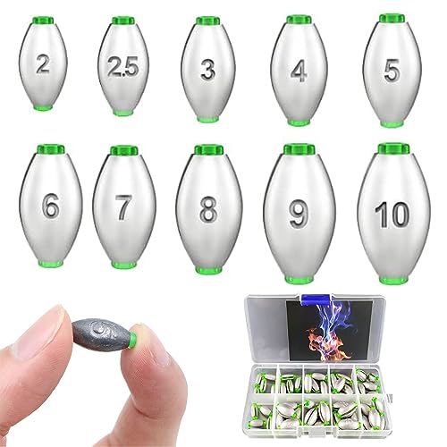 50 Stück Angeln Bleie Set - Angeln Blei, Angelgewichte Kit mit Abnehmbaren Gewichten (10 Größen: 2g, 2.5g, 3g, ..., 10g) in Aufbewahrungskiste