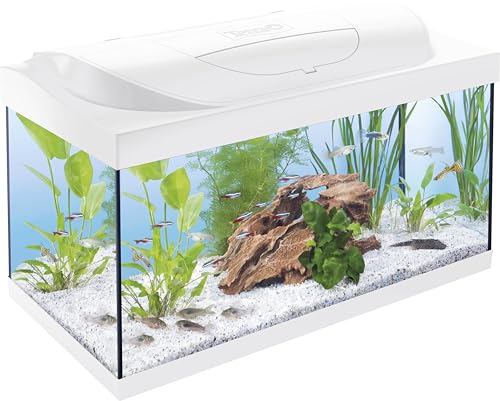 Aquarium