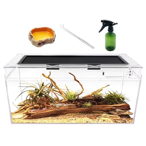 Reptile Growth Reptilien-PC-Terrarien-Set, Reptilienbecken 50 x 25x 20 cm, für Insekt, Fisch, Tarantel, Einsiedlerkrebs, Springspinne, Leguan, Schildkröte, Leopardgecko, Frosch, Bartagame