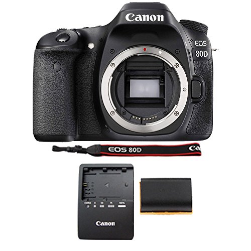 Canon EOS 80D Body