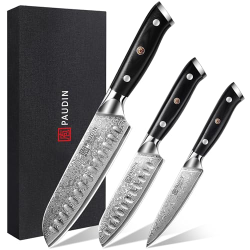 PAUDIN Damastmesser set, Messerset 3-teilig, Damast Küchenmesserset mit Ultra Scharfes Santokumesser Küchenmesser aus 67 Schichten Damaststahl mit Japanischem VG10 Stahl Kern, Ergonomischer G10 Griff