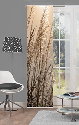 Home fashion 87997-711 Caruso Schiebevorhang Digitaldruck, Stoff, Natur, 245 x 60 cm