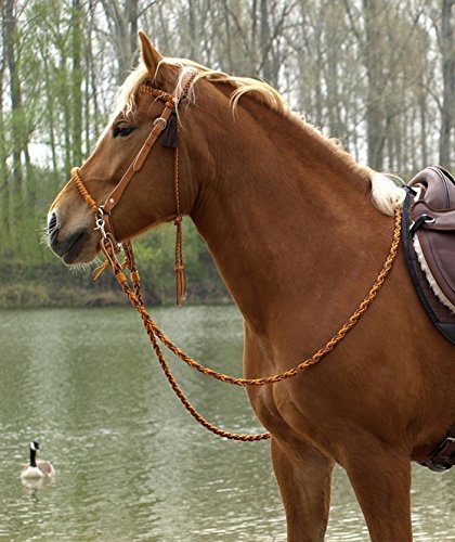 Barefoot Kopfstück Amber orange – Sidepull & Gebiss-Zäumung 2 in 1 – verstellbares Kopfstück – inkl. Kinnriemen + 2 Horsehair Tassels – handgeflochtenes Bergseil & brasilianisches Leder – COB