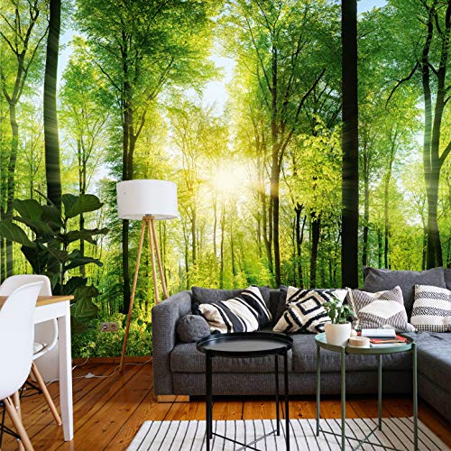murimage Fototapete Wald 3D 366 x 254 cm inklusive Kleister Tapete Bäume Wohnzimmer Küche Schlafzimmer
