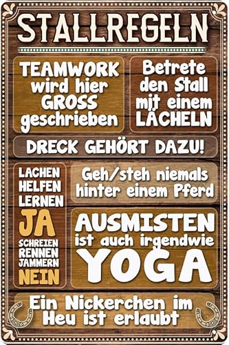 Wetterfestes 20 x 30 cm Blechschild, Wandschild, Türschild für Pferde Fans, lustiger Spruch, Stallregeln
