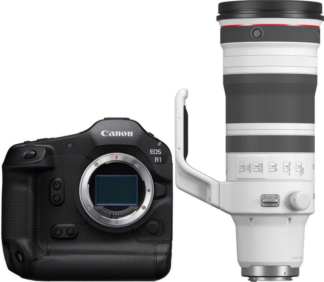 Canon EOS R1 + RF 100-300mm f2,8 L IS USM