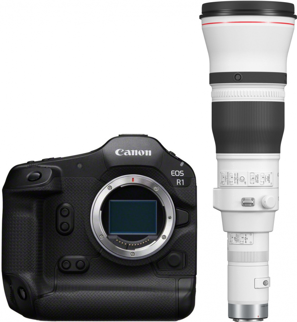 Canon EOS R1 + RF 1200mm f8 L IS USM